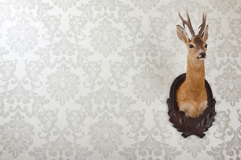 BX_Tapeten_Wappenmuster